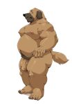  2021 absurd_res anthro belly black_nose brown_body brown_fur canid canine canis domestic_dog flaccid fur genitals hi_res humanoid_genitalia humanoid_hands humanoid_penis jumperbear kemono male mammal moobs nipples overweight overweight_male penis pubes simple_background solo white_background 