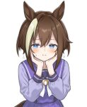  1girl animal_ears blue_eyes blush bow bowtie breasts brown_hair brown_tail cheval_grand_(umamusume) closed_mouth commentary_request hair_between_eyes hands_on_own_cheeks hands_on_own_face horse_ears horse_girl horseshoe_ornament large_breasts leaning_forward multicolored_hair nanasedayoxd pout purple_sailor_collar purple_shirt sailor_collar sailor_shirt school_uniform shirt short_hair short_hair_with_long_locks sidelocks simple_background single_hair_intake solo streaked_hair sweat tracen_school_uniform umamusume white_background white_bow white_bowtie white_streaks 