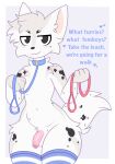 2026 anthro balls bdsm black_body black_eyebrows black_eyes black_fur black_markings black_nose black_spots blue_clothing blue_collar blue_leash blue_legwear blue_text blush blush_lines border cat_smile cheek_tuft closed_smile clothing collar domestic_cat english_text eyebrows facial_tuft felid feline felis femboy fur genitals hair heart_symbol hi_res holding_leash holding_object humanoid_genitalia humanoid_penis leash leashed_collar legwear looking_at_viewer male mammal markings mouth_closed narrowed_eyes navel neck_tuft ohalphabetboyy pattern_clothing pattern_legwear pattern_thigh_highs penis petplay pink_leash pink_penis question roleplay simple_background smile smug smug_face smug_grin solo spots spotted_markings standing striped_clothing striped_legwear striped_thigh_highs stripes tail text thigh_highs tuft white_body white_border white_fur