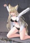  1girl ahoge animal_ear_fluff animal_ears arknights black_bra black_panties blonde_hair bra braid breasts commentary_request cuffs fox_ears fox_girl fox_tail hair_between_eyes highres indoors kneeling long_hair navel neck_tattoo open_clothes open_shirt paid_reward_available panties restrained scar scar_on_cheek scar_on_face scar_on_leg screaming shackles shirt side-tie_panties single_braid solo stomach tail tattoo teeth underwear vulpisfoglia_(arknights) white_shirt yellow_eyes yeosi 