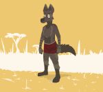  anthro athletic clothing fluffy fluffy_chest hyaenid male mammal mostly_nude pecs ricthecusco scar solo standing stripes underwear 