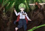  1girl animal_on_face animal_request antennae black_cape black_pants bug buttons cape caterpillar centipede check_animal collared_shirt commentary earthworm fly forest galm_x_lmr_(ryonasa) green_eyes green_hair hair_between_eyes ladybug log long_sleeves looking_at_viewer moth moth_on_hand nature oversized_bug pants purple_shoes scorpion shirt shoes short_hair sitting_on_log socks solo solo_focus spider touhou tree wasp white_shirt white_socks wriggle_nightbug 