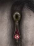 anus arthropod bodily_fluids butt darkmare dirty equid equine feces female feral fly_(animal) genital_fluids genitals hi_res horse insect mammal precum smearing smelly solo tail vulva