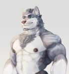  2020 anthro beard big_muscles black_hair blue_body blue_fur body_hair canid canine canis chest_hair clothed clothing domestic_dog ear_piercing ear_ring facial_hair fur green_eyes hair haltiart husky male mammal muscular muscular_anthro muscular_male nordic_sled_dog piercing pink_nose simple_background smile solo spitz striped_body striped_fur stripes topless white_body white_fur zekken 