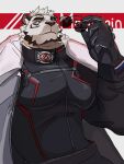  1boy absurdres animal_ears arknights bara black_bodysuit black_gloves bodysuit dared_u english_commentary from_below furry furry_male gloves highres holding holding_removed_eyewear jacket jacket_on_shoulders male_focus mountain_(arknights) mountain_(hardcore_rider)_(arknights) muscular muscular_male pectorals scar scar_across_eye scar_on_face smile sunglasses tiger_boy tiger_ears tiger_stripes unworn_eyewear white_background white_jacket 
