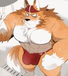  2020 animated anthro barazoku bathing_cap big_bulge big_muscles black_nose blush bulge canid canine canis clothed clothing domestic_dog fur genitals hi_res high-angle_view humanoid_hands hyaku_(artist) male mammal muscular muscular_anthro muscular_male orange_body orange_fur penis solo speedo standing swimwear tenting throbbing throbbing_penis topless wet white_body white_fur 