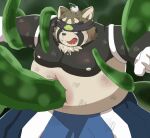  2021 anthro arm_grab belly bodily_fluids brown_body brown_fur canid canine drooling fur kemono lifewonders live-a-hero male mammal moobs nipples otesei overweight overweight_male raccoon_dog restrained saliva scar shoen solo tanuki tentacles video_games violence 