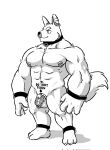  anthro black_and_white canid canine chastity_cage chastity_device ear_piercing facial_piercing hi_res male mammal monochrome muscular muscular_male nipple_piercing nipples piercing solo witherrose1 
