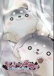  :3 animal closed_mouth commentary_request cover cover_page curtains dog highres kantai_collection nijou_katame no_humans o_o pillow short_eyebrows thick_eyebrows transparent 