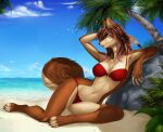  2021 4_toes 5_fingers accessory anthro barefoot beach bikini bikini_bottom bikini_top black_nose blue_eyes breasts brown_body brown_fur brown_hair canid canine canis claws cleavage clothed clothing digital_drawing_(artwork) digital_media_(artwork) elvofirida feather_in_hair feathers feet female finger_claws fingers fur hair hair_accessory hindpaw humanoid_hands in_shade mammal navel outside palm_tree paws plant red_bikini seaside selina_zifer solo swimwear toe_claws toes tree water wolf 