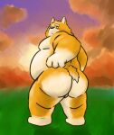  2021 anthro balls belly black_nose butt canid canine canis domestic_dog genitals herding_dog hi_res humanoid_hands kemono male mammal moobs outside overweight overweight_male pastoral_dog solo welsh_corgi yellow_body yellow_eyes yuuh1212 