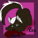 1:1 alice_(templar_ponyboy) anthro ass_up blue_eyes blush blush_lines breast_squish breasts canid canine canis circle_eyebrows eyebrows female fur gloves_(marking) hair hi_res looking_at_viewer mammal markings mullet multicolored_body multicolored_fur nude nude_female seductive solo squish templar_ponyboy two_tone_tail white_hair wolf
