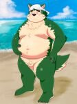  2021 absurd_res anthro balls beach belly black_nose blush canid canine canis domestic_dog edit eyes_closed flaccid fur genitals green_body green_fur hi_res humanoid_hands kemono lifewonders live-a-hero male mammal mokdai moobs navel nipples outside overweight overweight_male penis seaside small_penis solo uncensored video_games water yaki_atsuage 