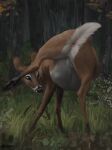  2021 anus balls brown_body brown_fur cervid day detailed_background difetra digital_media_(artwork) feral forest fur genitals grass green_eyes hi_res hooves male mammal outside plant solo tree 