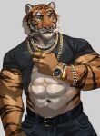  2021 abs anthro bottomwear clock clothed clothing clothing_lift felid gold_chain hi_res itymnro male mammal navel pantherine pants shirt shirt_lift simple_background solo stripes tiger topwear watch whiskers wristwatch 