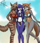  2021 absurd_res anthro bikini bloodline bloodline_(webcomic) blush canid canine canis clothed clothing dekaisen ember_(bloodline) female fox fur green_eyes grey_body grey_fox grey_fur group hair hi_res hyaenid looking_at_viewer mammal sil_(bloodline) simple_background smile striped_hyena stripes swimwear urocyon vivian_(bloodline) wolf 