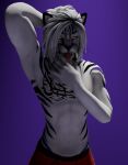 anthro boxers_(clothing) clothing felid hi_res male mammal pantherine pinup pose sakuri_rainne solo stripes tattoo tiger underwear white_body yellow_eyes