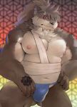  abs anthro asian_clothing bandage belly biceps bulge canid canine canis clothing domestic_dog east_asian_clothing fundoshi hair japanese_clothing lifewonders long_hair male mammal musclegut muscular_arms navel nipples pecs ponytail red_eyes salz_sop scar shino_(housamo) solo tokyo_afterschool_summoners underwear video_games 