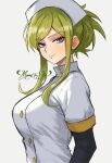  1girl black_gloves black_sleeves blue_eyes breasts buttons collared_shirt eclipse_ophichus fairy_tail from_side gloves green_hair hat highres large_breasts looking_at_viewer makeup moonstosky nurse nurse_cap shirt signature simple_background smirk solo tagme turning_head white_background white_hat 