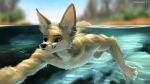  16:9 2021 5_fingers anthro blue_eyes blurred_background canid canine detailed_background ear_piercing fennec fingers fox fur geewolf heterochromia hi_res male mammal nude outside partially_submerged piercing solo swimming widescreen yellow_eyes 