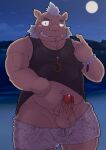  2020 anthro balls beach belly blush brown_body brown_fur clothed clothing edit erection fur genitals goujuyu gouryou hi_res humanoid_genitalia humanoid_hands humanoid_penis kemono lifewonders male mammal moon muscular muscular_anthro muscular_male night outside overweight overweight_anthro overweight_male penis seaside shirt solo suid suina sus_(pig) swimwear tokyo_afterschool_summoners topwear uncensored video_games water wild_boar 
