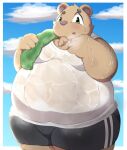  2021 anthro belly blush bodily_fluids bottomwear brown_body clothing cloud hi_res inigo_(kusosensei) kemono kusosensei male mammal obese obese_male outside overweight overweight_male pink_nose shirt shorts solo sweat topwear towel ursid 