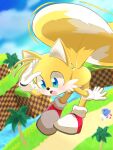  2boys :o animal_ears animal_nose blue_eyes commentary_request day fox_boy fox_ears fox_tail furry furry_male gloves green_hill_zone in-universe_location male_focus multiple_boys multiple_tails open_mouth outdoors red_shoes ring_(sonic) roshii_(roshi_loshi_641) shoes solo_focus sonic_(series) sonic_the_hedgehog tail tails_(sonic) two_tails white_gloves 