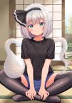  1girl absurdres alternate_costume black_hairband black_shirt black_thighhighs blue_eyes blue_shorts blush closed_mouth commentary_request contemporary grey_hair hairband highres hitodama indian_style konpaku_youmu konpaku_youmu_(ghost) looking_at_viewer medium_hair no_shoes reimei_(r758120518) shirt short_sleeves shorts shouji sitting skindentation sliding_doors smile solo tatami thighhighs touhou 