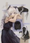  1girl absurdres animal animal_ears arm_rest armpit_crease bell belt black_belt black_cat black_dress cat cat_ears cat_tree claw_mark commentary_request covered_mouth dress fingernails hair_bell hair_between_eyes hair_ornament hands_on_own_arms headdress highres looking_at_viewer multiple_cats nail_polish original purple_eyes red_nails sayoko_(sayosny2) scratches signature sleeveless sleeveless_dress towel white_hair 