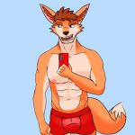  1:1 anthro canid canine character_name:axxel chase_shinien clothing digital_media_(artwork) fox hi_res male mammal nipples nude open_mouth pecs red_fox simple_background slim smile solo 