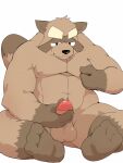  2016 3:4 anthro balls belly biped blush brown_body brown_fur canid canine edit fur genitals goujuyu hi_res humanoid_hands kemono male mammal masturbation moobs musclegut nipples overweight overweight_male penile penile_masturbation penis raccoon_dog sitting solo tanuki uncensored 