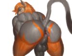  anus back_muscles backsack balls brown_body brown_fur butt butt_focus felid fur genitals hawkpelt hi_res looking_at_viewer looking_back male mammal orange_body orange_fur pose rear_view richard_pinkman solo 