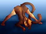  anthro brown_body brown_fur clothing felid fur hawkpelt hi_res jack-o&#039;_pose legwear male mammal orange_body orange_fur perfectly_disfigured pose solo stockings 