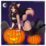  1:1 absurd_res anthro canid canine clothing costume digital_media_(artwork) female food fruit halloween hi_res holidays kitsunewaffles-chan mammal moon night plant pumpkin shaded solo tombstone 