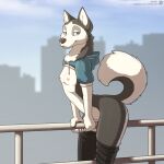  1:1 2021 5_fingers anthro black_nose bottomless breasts canid canine canis city city_background claws clothed clothing day digital_media_(artwork) domestic_dog female finger_claws fingers flat_chested footwear fur grey_body grey_fur hana_(jishinu) hi_res hoodie husky jishinu leaning leaning_forward looking_at_viewer mammal nipples nordic_sled_dog outside shaded small_breasts socks solo spitz straddling topwear white_body white_fur 