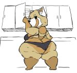  2021 aggressive_retsuko ailurid anthro back_rolls big_butt bra breasts butt cellulite clothed clothing dorkass fat_rolls female fur hi_res huge_hips huge_thighs looking_back mammal mature_anthro mature_female overweight overweight_anthro overweight_female panties pudgy_belly red_panda retsuko&#039;s_mother sanrio short_stack solo standing tan_body tan_fur thick_thighs underwear white_body white_fur wide_hipd 