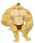  2021 abs anthro barazoku biceps big_bulge big_muscles big_nipples bowser bulge claws clothing eyebrows facial_hair hair hand_on_hip hi_res horn huge_muscles koopa male mario_bros muscular muscular_anthro muscular_male navel newgeimuplus nintendo nipples obliques pecs scalie shell simple_background small_head solo spiked_shell spikes spikes_(anatomy) standing stubble thong underwear vein video_games white_background 