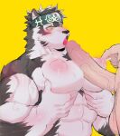  &lt;3 &lt;3_eyes 2021 abs accessory anthro balls barazoku big_balls big_muscles big_nipples big_pecs big_penis blush bodily_fluids canid canine canis duo erection faceless_character faceless_male fingering fingering_partner fur genitals headband horkeukamui huge_muscles huge_penis human human_on_anthro humanoid_genitalia humanoid_penis interspecies kd_gai lactating licking lifewonders looking_at_genitalia looking_at_penis male male/male male_lactation mammal milk muscular muscular_anthro muscular_male nipple_fetish nipple_fingering nipple_penetration nipple_play nipples nude open_mouth oral pec_squeeze pec_squish pecjob pecs penetration penile penis penis_lick sex simple_background solo_focus squish tokyo_afterschool_summoners tongue tongue_out tuft vein veiny_penis video_games wolf yellow_background 