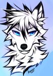  2021 black_nose blue_eyes canid canine canis digital_media_(artwork) fur hair hi_res mammal myarukawolf solo white_body white_fur white_hair wolf 