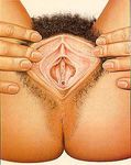  afro anus ass labia lowres pubic_hair pussy solo spread_pussy 