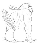  1:1 2014 5_fingers avian beak big_butt bird butt clothing clothing_pull feathers fingers girokett greyscale line_art looking_at_viewer looking_back male monochrome panties panty_pull raised_tail rear_view signature simple_background solo standing tail_feathers underwear underwear_pull white_background 