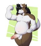  anthro balls big_penis canid canine canis domestic_dog floppy_ears genitals hair hi_res long_hair male mammal matix matixcs musclegut muscular muscular_male overweight penis solo 