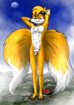  2011 2_tails abs anthro balls bodily_fluids canid canine dripping flaccid foreskin fox fur genital_fluids genitals giga hands_behind_head hi_res humanoid_genitalia humanoid_penis landscape_dwarfing macro male mammal miles_prower multi_tail nude nude_male orange_body orange_fur penis precum precum_drip sega solo sonic_the_hedgehog_(series) standing white_body white_fur xtreme7 