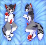 anthro arvenick body_pillow bodypillow canid canine canis cute_expression dakimakura_design dakimakura_pillow domestic_dog genitals hi_res kavier male mammal nude penis pillow pinup pose solo wolf 