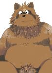  2021 anthro balls belly black_nose brown_body brown_fur canid canine fur genitals hi_res kemono male mammal micropenis moobs overweight overweight_male penis raccoon_dog simple_background sitting small_penis solo tanuki tatsugonz white_background 