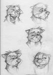  2001 anthro biped circles_(comic) douglas_pope ears_down expression_sheet fangs greyscale guide_lines head_tuft headshot_portrait k-9 lutrine male mammal martin_miller mephitid monochrome mustelid open_mouth pivoted_ears portrait sketch sketch_page skunk smile solo teeth traditional_media_(artwork) tuft 