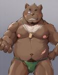 2021 anthro asian_clothing belly blush brown_body clothing east_asian_clothing fundoshi green_clothing green_fundoshi green_underwear hi_res humanoid_hands japanese_clothing kemono male mammal moobs musclegut navel nipples one_eye_closed overweight overweight_male scar shiike999 simple_background solo underwear ursid wink 