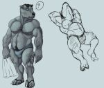  2016 4_fingers 4_toes ? anthro arm_hair belly big_biceps big_deltoids big_muscles big_obliques big_quads big_triceps black_clothing black_footwear black_pubes black_sandals blue_eyes body_hair bristol bulge chest_hair claws clothed clothed_anthro clothed_male clothing colored digital_drawing_(artwork) digital_media_(artwork) eyebrows eyewear eyewear_on_head feet fingers footwear front_view full-length_portrait fur grey_arms grey_background grey_belly grey_body grey_chest grey_ears grey_eyebrows grey_fingers grey_fur grey_hands grey_neck grey_nipples grey_speedo grey_theme half-closed_eyes holding_object holding_towel huge_pecs humanoid_hands leg_hair looking_away looking_down lying male male_anthro mammal manly musclegut muscular muscular_anthro muscular_male narrowed_eyes navel nipples obliques on_back plantigrade portrait sandals shaded simple_background sketch skimpy solo speech_bubble speedo_only standing sunglasses sunglasses_on_head toes topless topless_anthro topless_male towel ursid white_claws 
