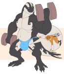  2021 4_fingers 4_toes absurd_res annoyed anthro anthro_on_anthro athletic athletic_anthro athletic_male barefoot barely_visible_genitalia barely_visible_penis belly bicep_curl big_bulge big_calves big_muscles big_obliques big_penis big_shoulders black_arms black_body black_claws black_face black_feet black_fin black_fingers black_fur black_hands black_legs black_neck black_nose black_scales black_tail black_toes blue_speedo bristol brown_arms brown_back brown_body brown_butt brown_eyebrows brown_face brown_fingers brown_fur brown_hair brown_legs bulge butt cetacean claws closed_frown closed_smile clothed clothed_anthro clothed_male clothing colored delphinoid digital_drawing_(artwork) digital_media_(artwork) dumbbell duo embrace exercise eyebrows eyes_closed facial_markings feet fin fingers flaccid flat_colors flexing flexing_bicep front_view full-length_portrait fur genitals hair happy head_markings hi_res hug huge_biceps huge_deltoids huge_muscles huge_pecs huge_penis huge_quads huge_triceps humanoid_hands inside_clothing inside_underwear interspecies larger_anthro larger_male looking_aside male male/male male_anthro mammal manly marine markings membrane_(anatomy) micro multicolored_body multicolored_fur multicolored_scales musclegut muscular muscular_anthro muscular_male nude_anthro nude_male obliques oceanic_dolphin orca penis penis_hug plantigrade portrait raised_hand scales scalie serratus simple_background size_difference skimpy smaller_anthro smaller_male solo_focus speedo_only standing tail_fin tan_background thick_neck three-quarter_view toes toony toothed_whale topless topless_anthro topless_male two_tone_arms two_tone_body two_tone_face two_tone_legs two_tone_neck two_tone_scales two_tone_tail weights white_arms white_background white_belly white_body white_chest white_claws white_face white_fur white_hands white_legs white_markings white_membrane white_neck white_penis white_scales white_tail wide_stance workout workout_equipment 