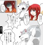  anthro canid canine canis clothing comic debirobu duo fangs fur girly grey_body grey_fur hair human human_on_anthro interspecies japanese_text larger_anthro male male/male mammal muscular muscular_anthro muscular_male red_hair shirt size_difference smaller_human text topwear wolf 